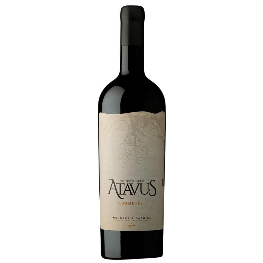 Botella de Mendoza & Carriel Atavus Carménère – Vino tinto, Carménère de Mendoza & Carriel