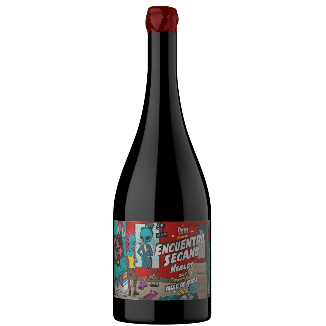 Botella de OVNI Wines Encuentro Secano Merlot 2019 – Vino tinto, Merlot de OVNI Wines