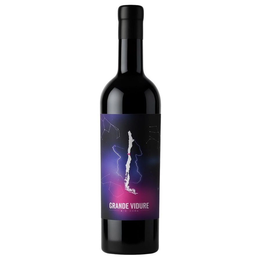 Botella de Ricardo Lowick Grande Vidure 2023 D.O. Ocoa – Vino tinto, Carmenère de Ricardo Lowick Wines