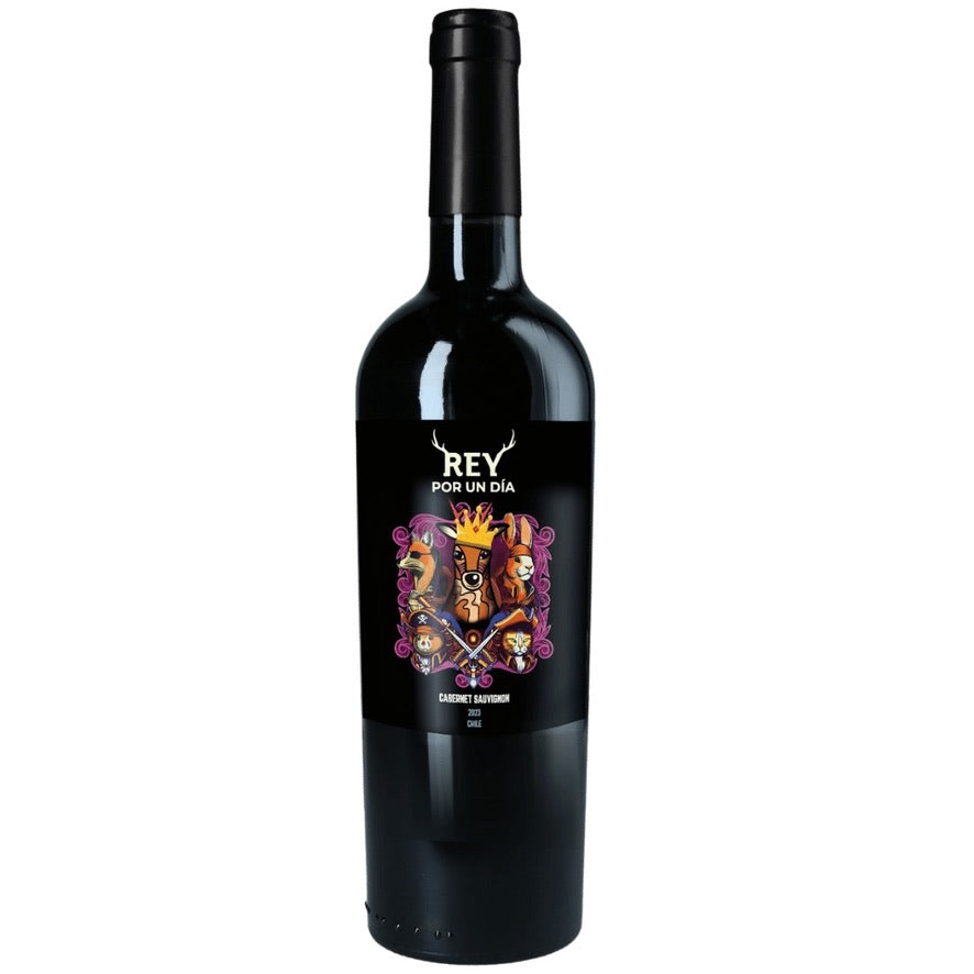 Botella de FUY Rey por un Día Cabernet Sauvignon 2023 – Vino tinto, Ensamblaje Cabernet Sauvignon-Syrah de FUY Wines