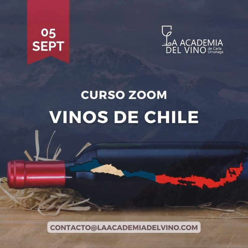 Curso y Cata Vinos de Chile