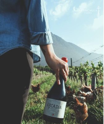 Aconcagua Farms Arcadia botella campo