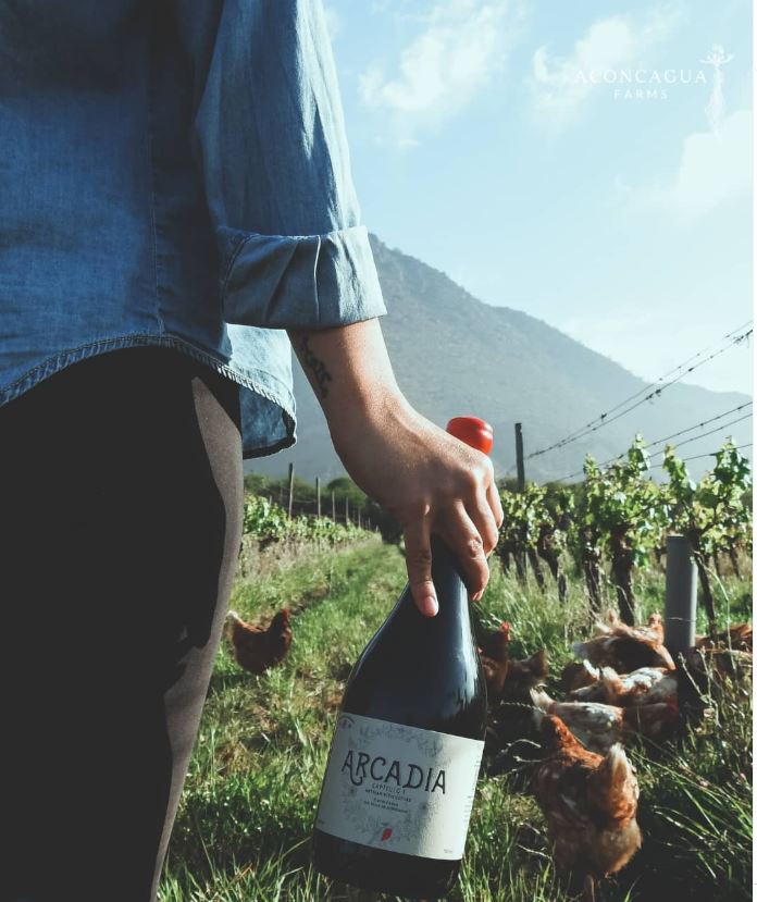Aconcagua Farms Arcadia botella campo