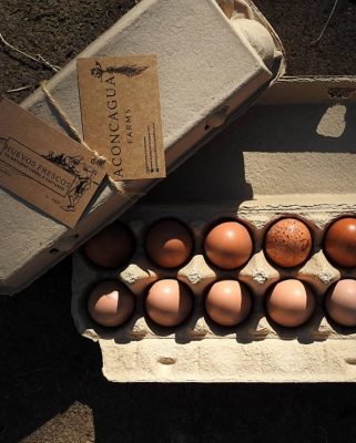 Aconcagua Farms Huevos de gallinas libres