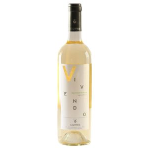 Calyptra Vivendo Sauvignon Blanc 2009 vino blanco chileno botella"