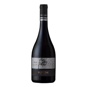 Botella de vino Casa Romero Viento Puelche Pinot Noir del Valle de Casablanca