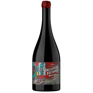 Merlot del secano de Itata de Ovni Wines – Encuentro Secano