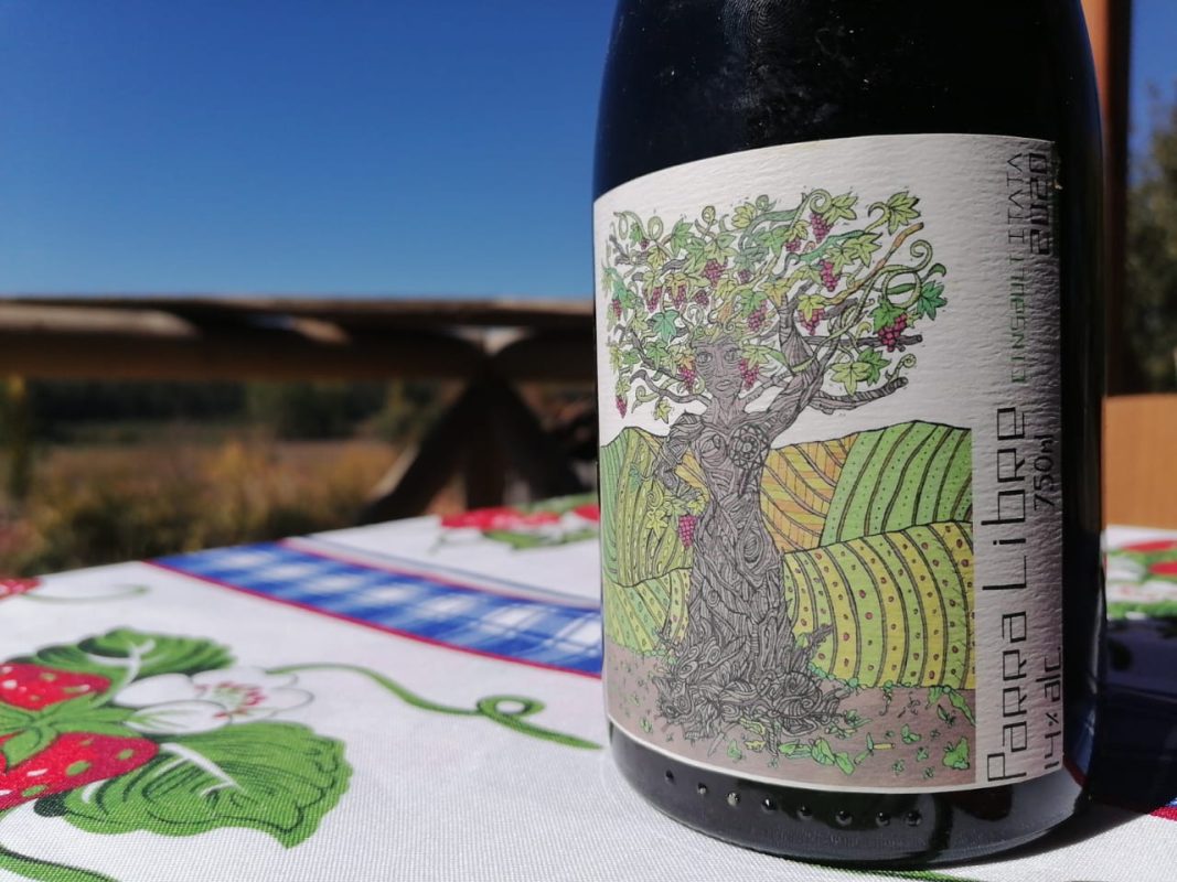 Parra libre Cinsault