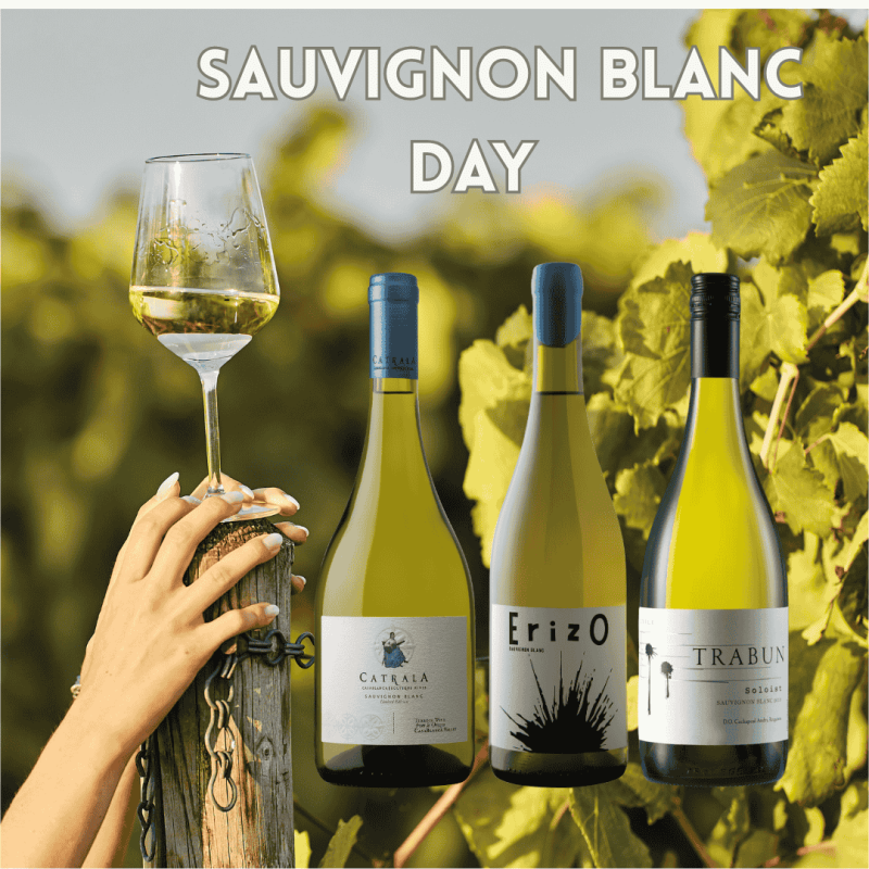 Dia del sauvignon blanc