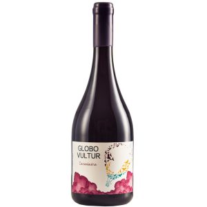 Vultur Globo Carménère 2022 – botella, Valle de Colchagua